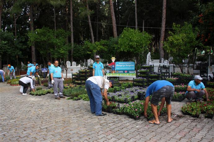 ALANYA BELEDİYESİ 21 MEZARLIKTA 55 BİN ÇİÇEK DAĞITACAK