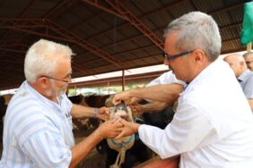 ALANYA BELEDİYESİ’NDEN KURBANLIKLARA DENETİM