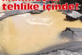 mahmutlar_tehlike_icinde_