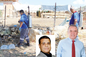 tebrikler_buyuksehir_belediyes_