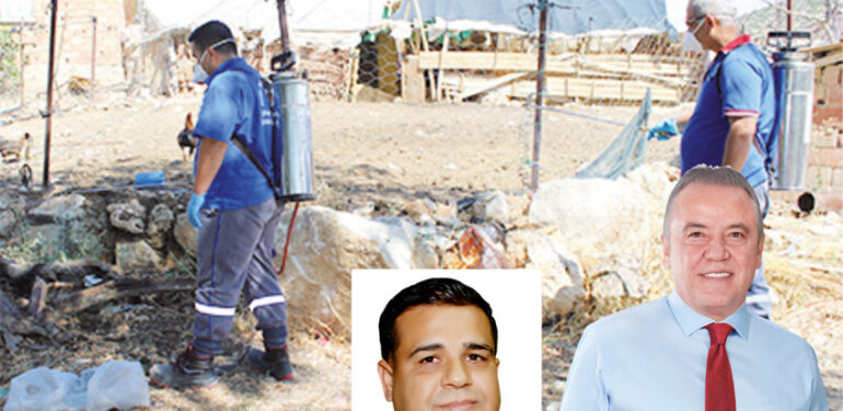 Tebrikler Büyükşehir