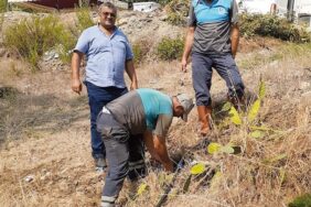 69707740_1014976668833371_1920366546186665984_n