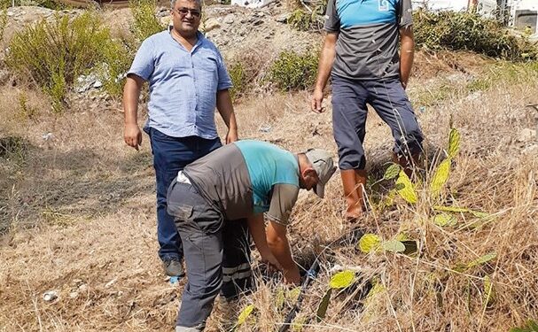 Şimşek teşekkür etti