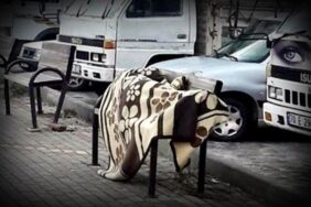 ALANYA BELEDİYESİ EVSİZLERE EL UZATIYOR