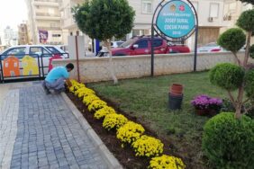 ALANYA KIŞIN DA ÇİÇEK AÇACAK