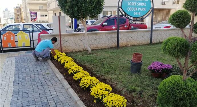 Alanya kışında çiçek açacak