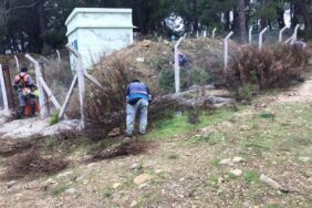 3817ab7c-61f2-4892-8c38-ad3df669fa92