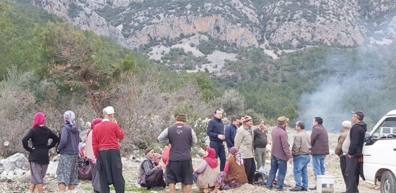 Çöplük ağaçlandırılıyor