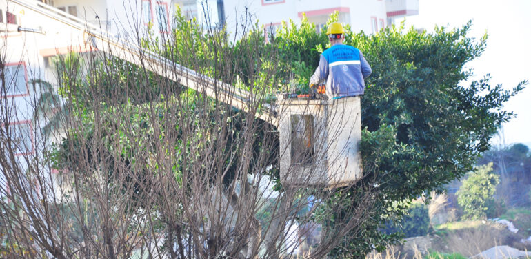 Alanya Belediyesi ekipleri çalışıyor