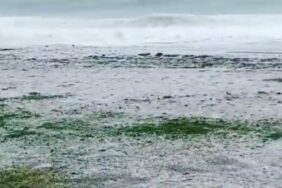 mahmutlar-da-dolu-yagisi-sahilleri-beyaza-burudu-