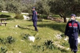 1BE8C6F8-8918-41E5-991B-1E3B2C942DB1