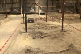 9874B271-1372-49EE-A236-3DA477F37C86