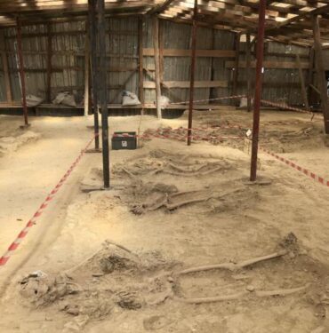 9874B271-1372-49EE-A236-3DA477F37C86