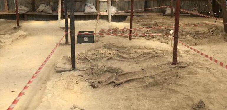 Alanyalı şehitlerin mezarı 108 yıl sonra bulundu