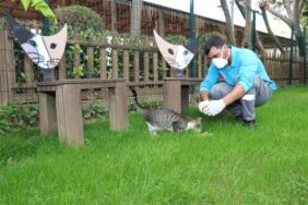 ALANYA BELEDİYESİ CAN DOSTLARINI UNUTMADI