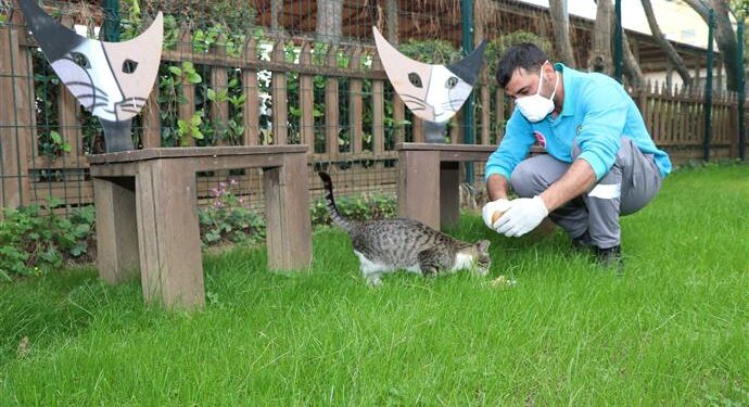 Alanya Belediyesi dostlarını unutmadı