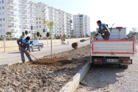 OKURCALAR MAHALLESİ’NDE PEYZAJ DÜZENLEMESİ