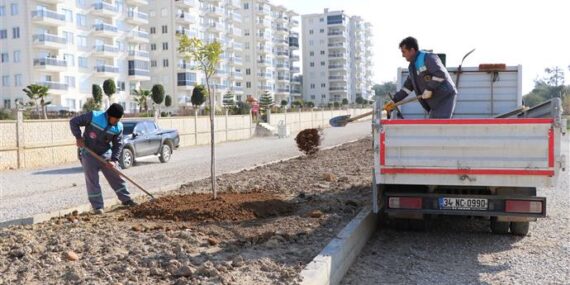 Okurcalar’a peyzaj düzenlemesi
