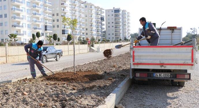 Okurcalar’a peyzaj düzenlemesi
