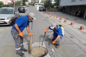 1f1b3114-291d-450f-9282-df44b3f42de0