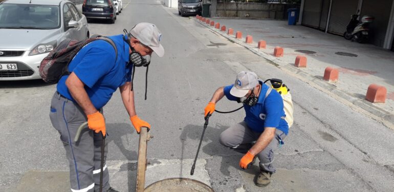 Sinekle mücadele devam ediyor