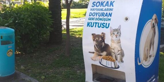 ALANYA BELEDİYESİ SOKAK HAYVANLARINI UNUTMADI