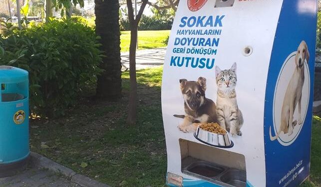 ALANYA BELEDİYESİ SOKAK HAYVANLARINI UNUTMADI