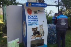 SOKAK HAYVANLARI İÇİN 80 YENİ BESLENME ÜNİTESİ OLUŞTURULDU