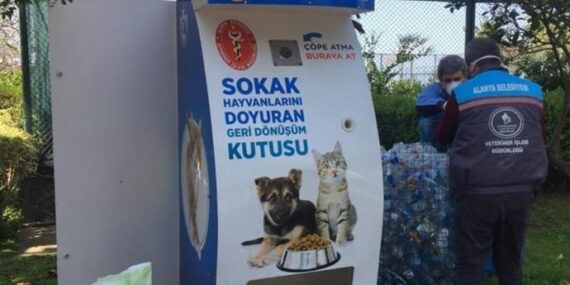 SOKAK HAYVANLARI İÇİN 80 YENİ BESLENME ÜNİTESİ OLUŞTURULDU