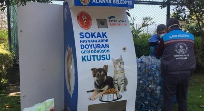 SOKAK HAYVANLARI İÇİN 80 YENİ BESLENME ÜNİTESİ OLUŞTURULDU