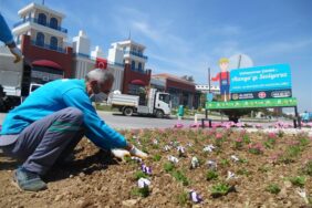 YAZ AYLARI İÇİN MEVSİMLİK ÇİÇEK DİKİMLERİ BAŞLADI