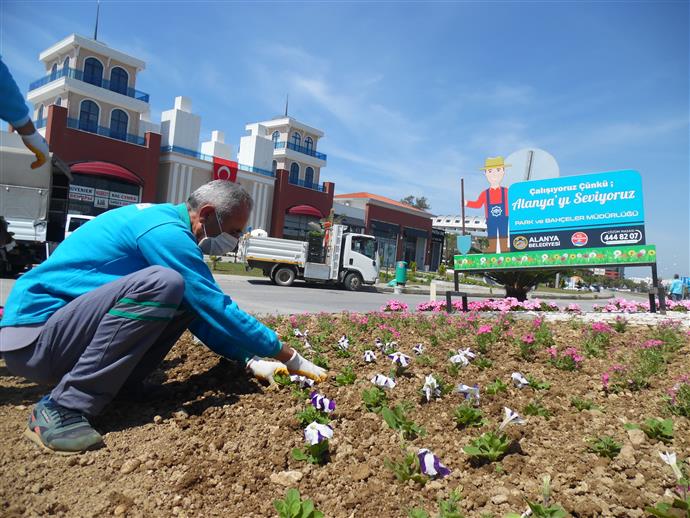 YAZ AYLARI İÇİN MEVSİMLİK ÇİÇEK DİKİMLERİ BAŞLADI