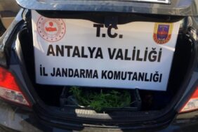 suphe-uzerine-durdurulan-aracta-154-kok-hint-13172094_o