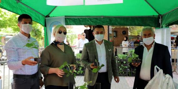 3 bin 500 su kabağı fidesi toprakla buluşacak