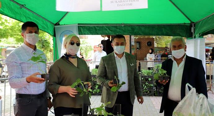 3 bin 500 su kabağı fidesi toprakla buluşacak