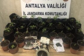 43A95AE4-F60F-496A-BB57-3BD9FF802E76