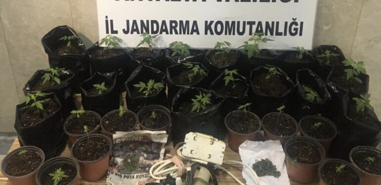 Mahmutlar’da uyuşturucu baskını