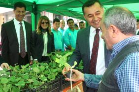 ALANYA BELEDİYESİ SU KABAĞI FİDESİ DAĞITMAYA DEVAM EDİYOR