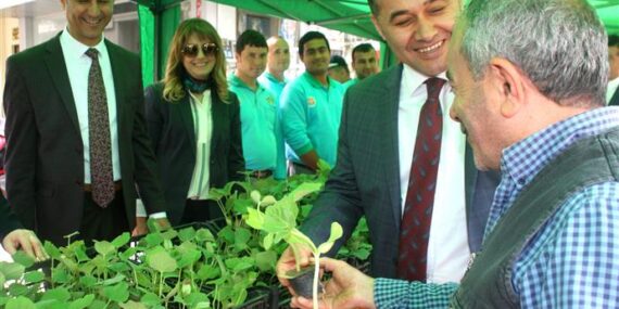 Alanya Belediyesi su kabağı fidesi dağıtmaya devam ediyor
