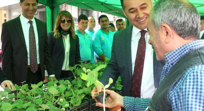 Alanya Belediyesi su kabağı fidesi dağıtmaya devam ediyor