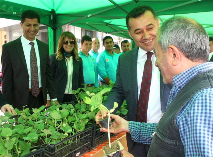 ALANYA BELEDİYESİ SU KABAĞI FİDESİ DAĞITMAYA DEVAM EDİYOR