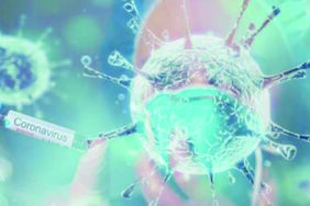 5e86d98ad265a205007f2146