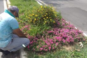 7db32caf-c2a8-4c12-afbb-a6ec713ada92