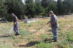 fe2598e4-7786-45b3-ab29-db407891d824