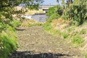 tesekkurler_ama_yetmez_