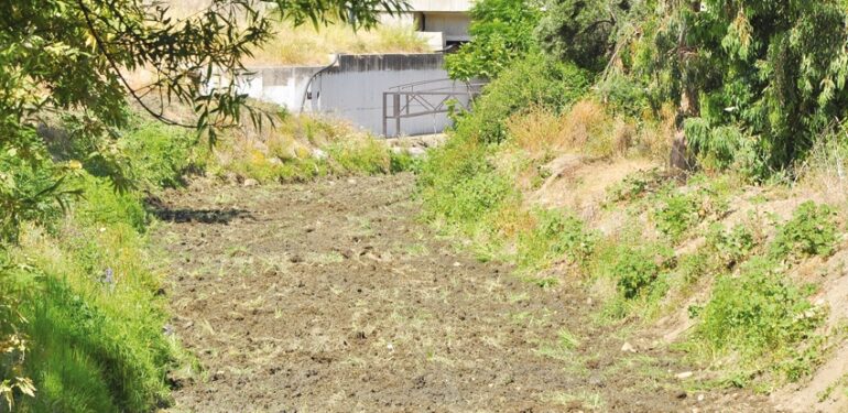 Teşekkürler ama yetmez!