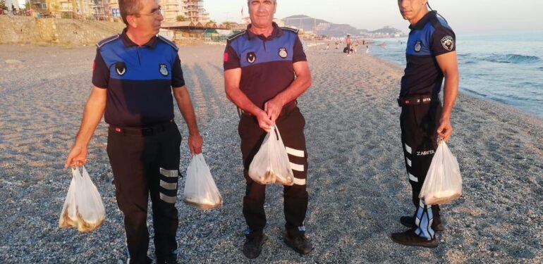 Zabıta’dan seyyar avı