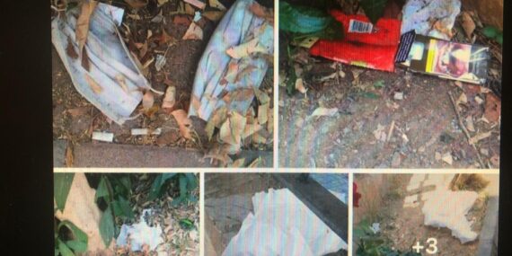 Uyar “Alanya’ya bu pis görüntü hiç yakışmadı