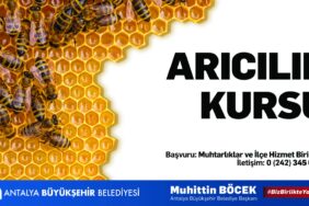 84cfb689-bff3-40df-aeb7-6a83f625adca