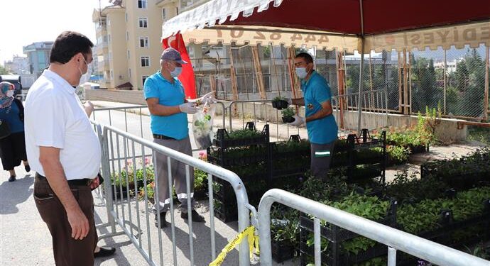 Alanya Belediyesi 21 mezarlıkta 58 bin çiçek dağıtacak
